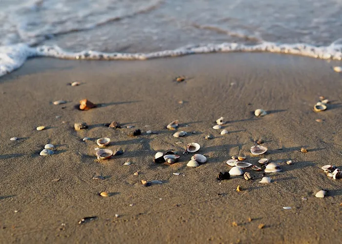 شقة Colorful Flat With Shared Pool *